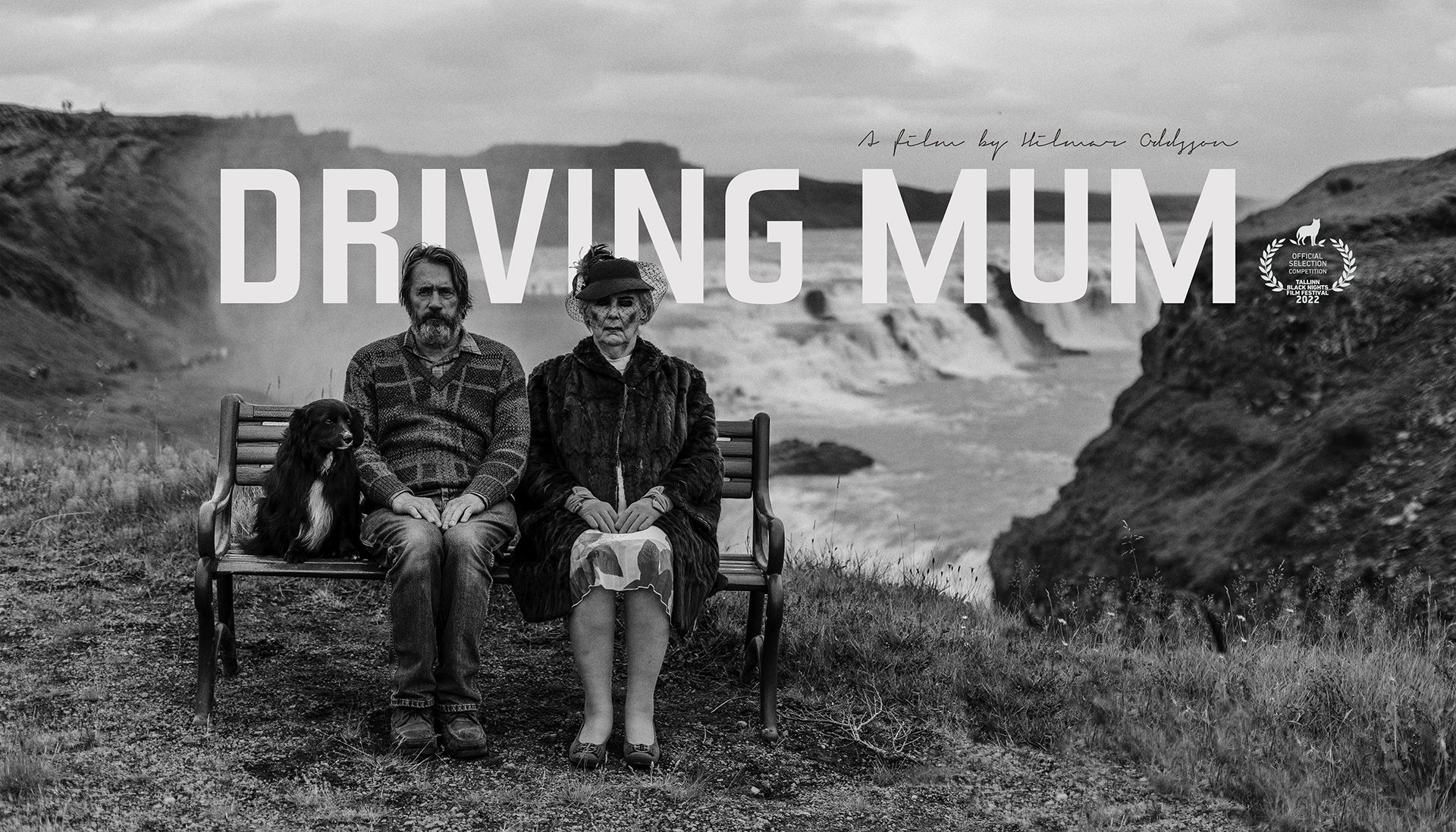 Driving_Mum_landscape