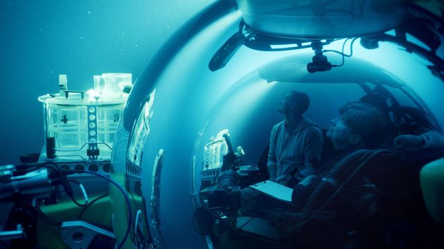 Elu ookeani valguses