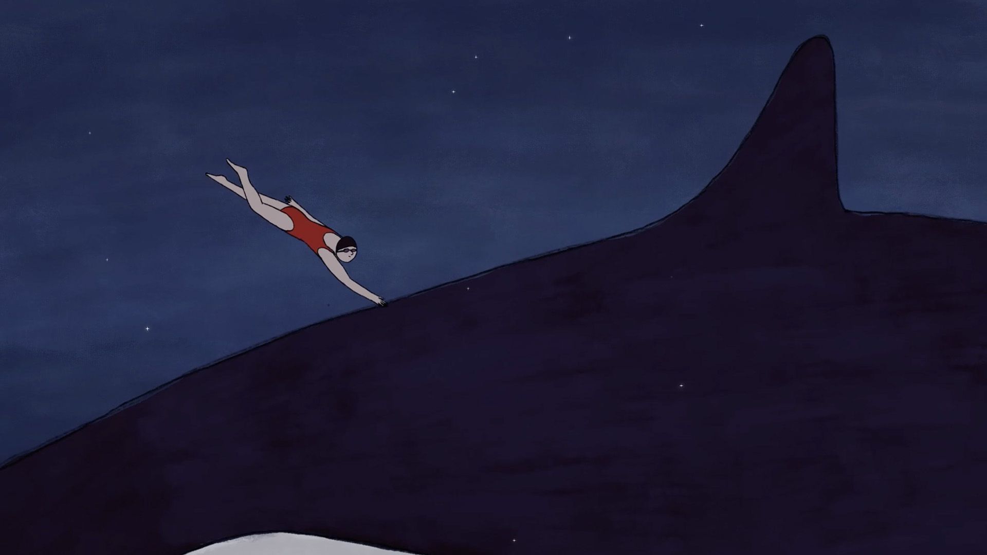 Shorts National Competition 5