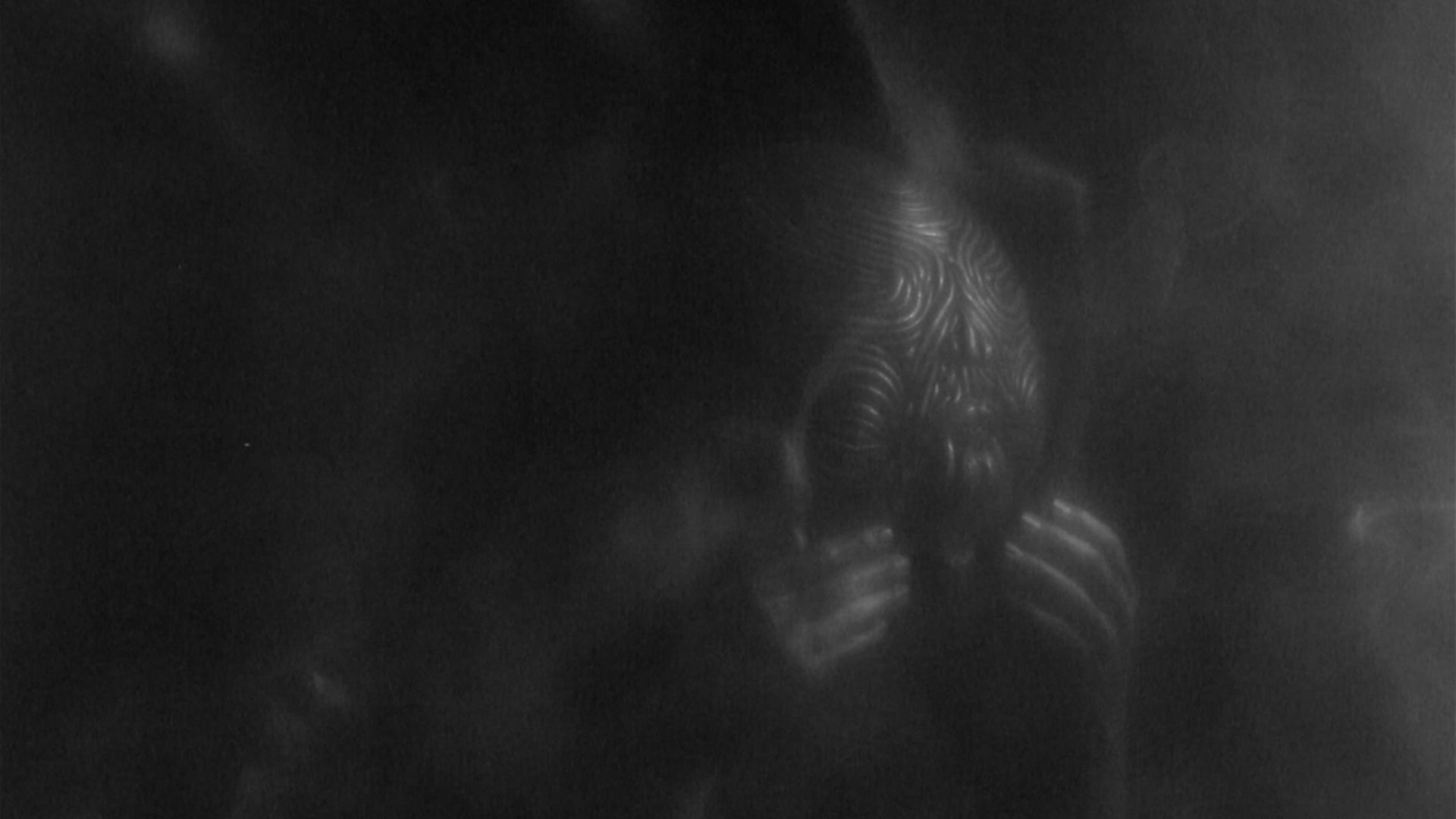 Shorts National Competition 5