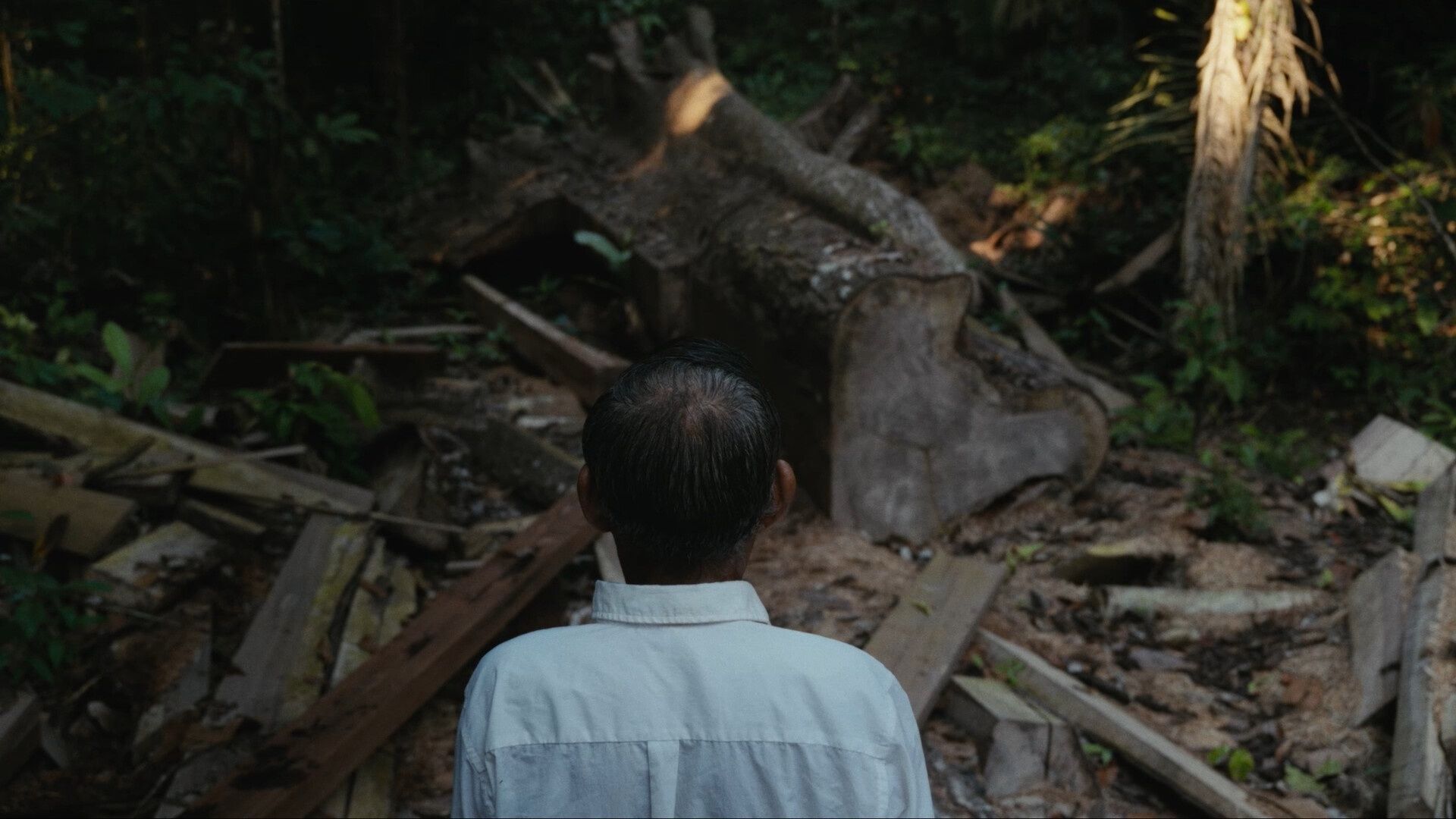 Shorts lühifilmi võistlusprogramm 2