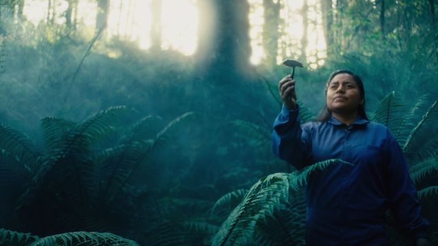 Daughters of the Forest