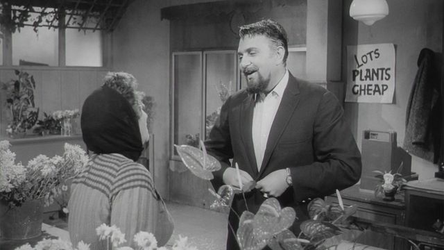 Väike õuduste pood