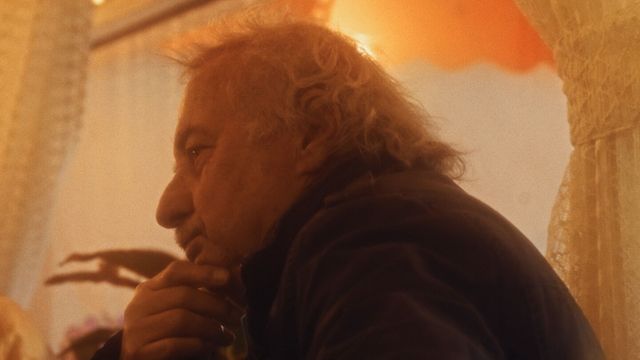 The Regulars - Live Action Documentaries 2