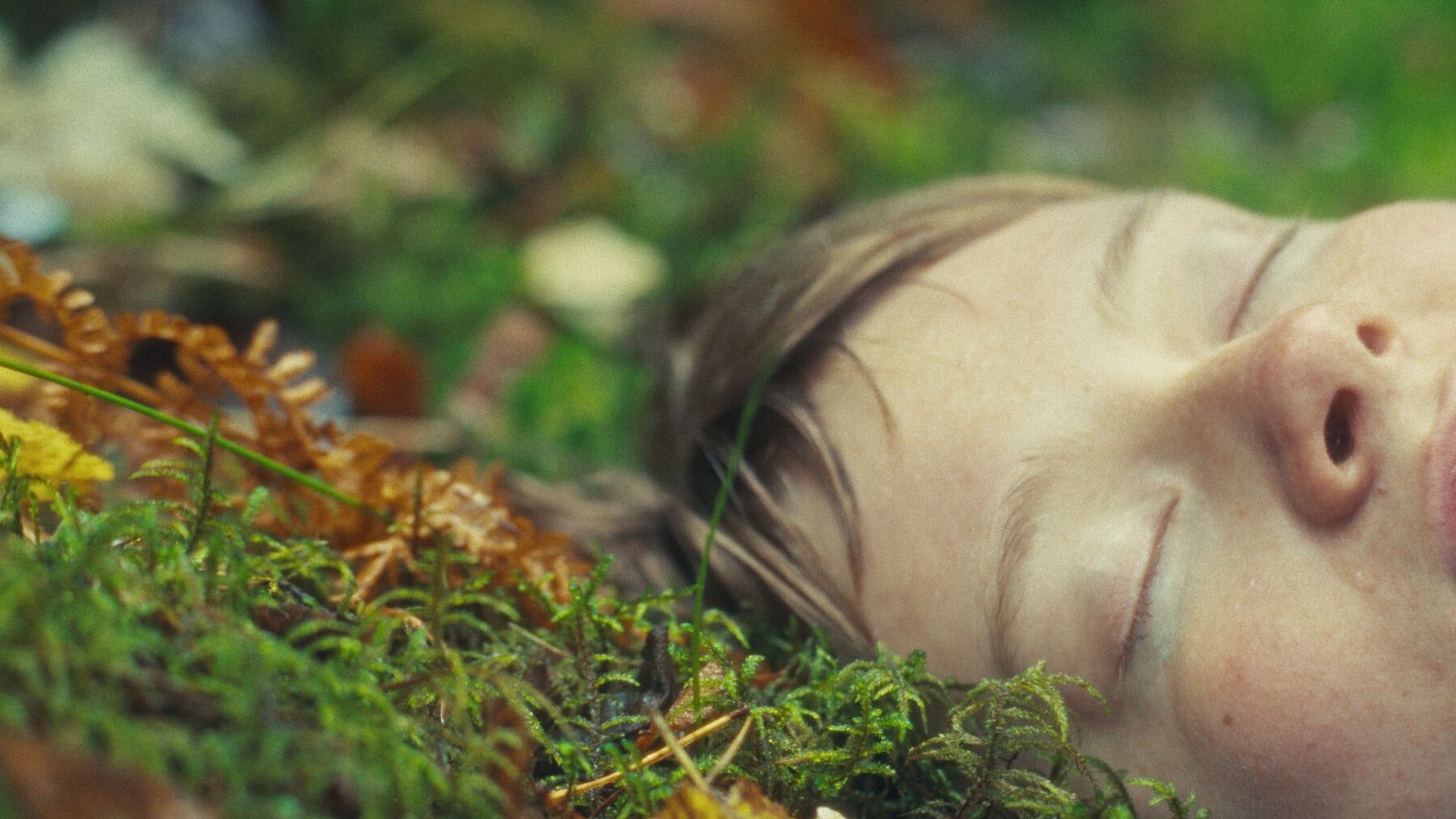 Shorts National Competition 5