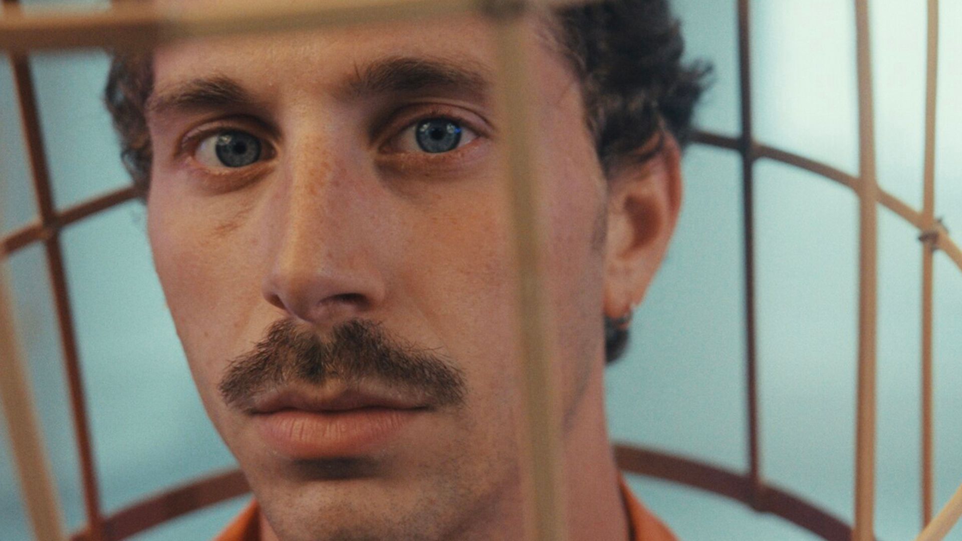 Dance Films: Movements of Being