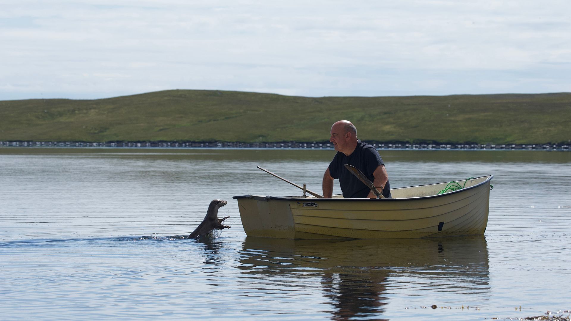 Billy and Molly: an Otter Love Story