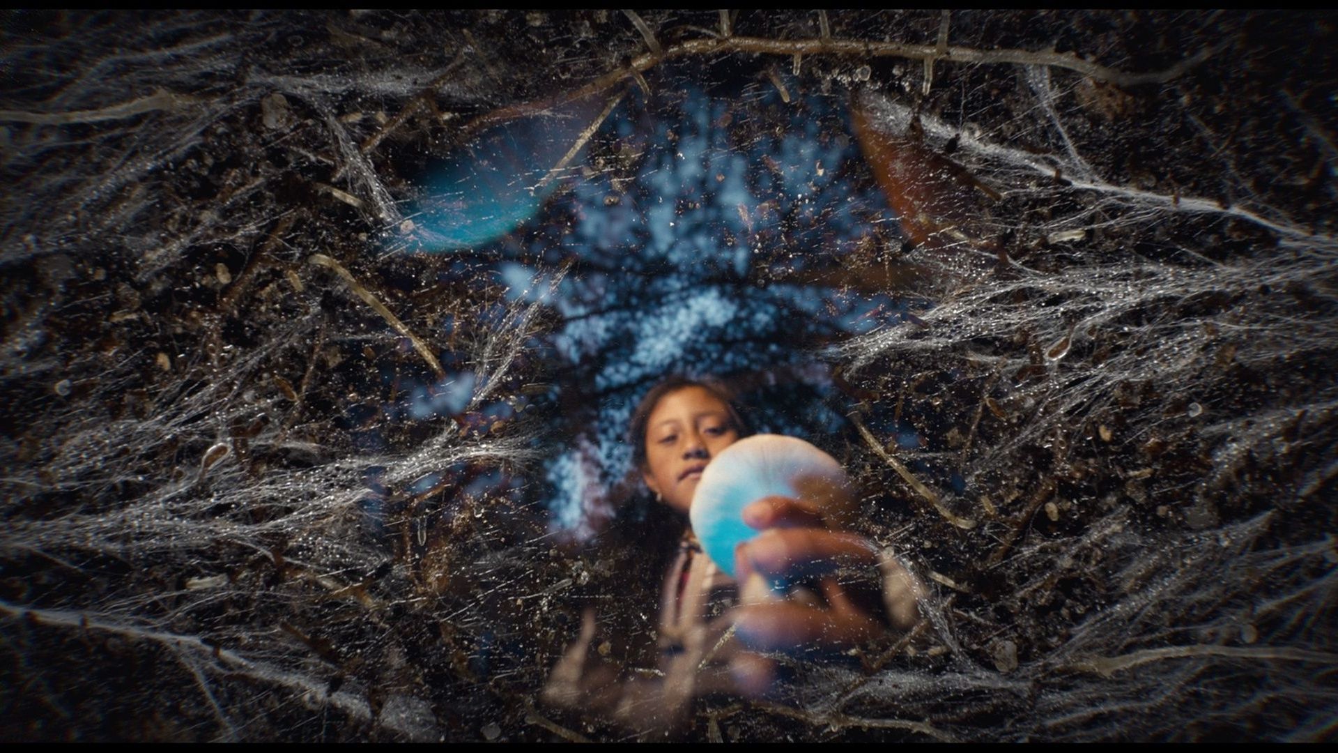 Daughters of the Forest