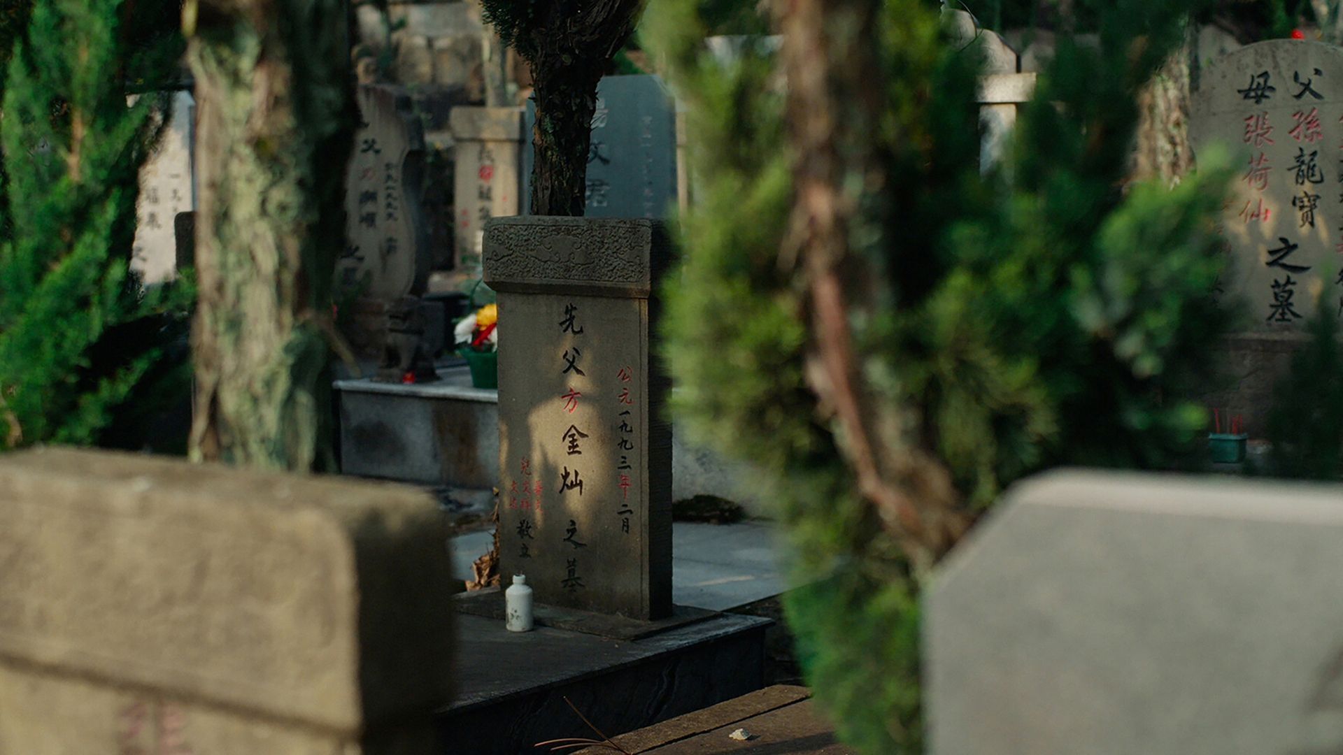 Lavastused elust - lühidokumentaalid 2