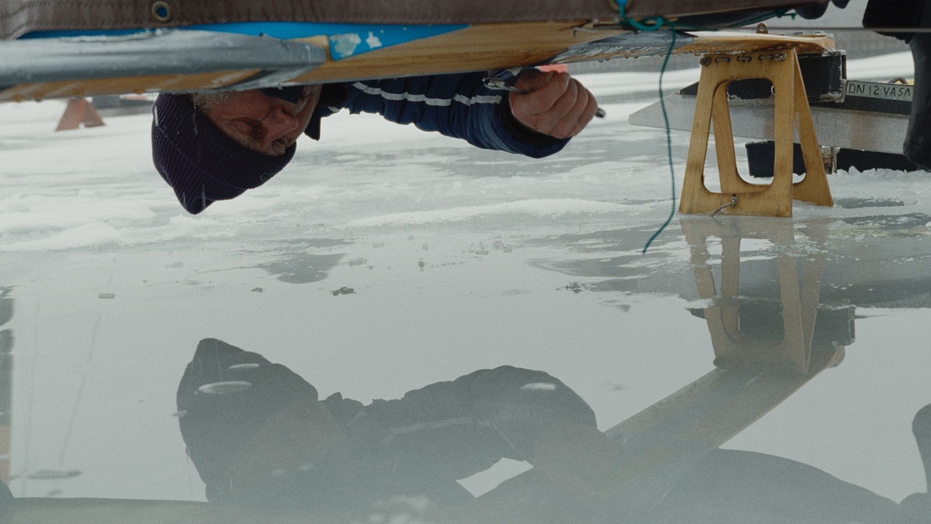 Ice, Men and a Starling