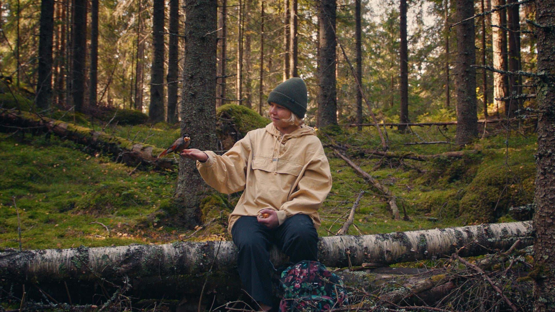 Once Upon a Time in a Forest