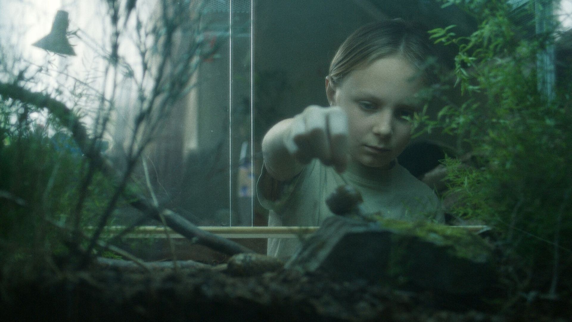 Shorts New Talents Competition: Live-action 3