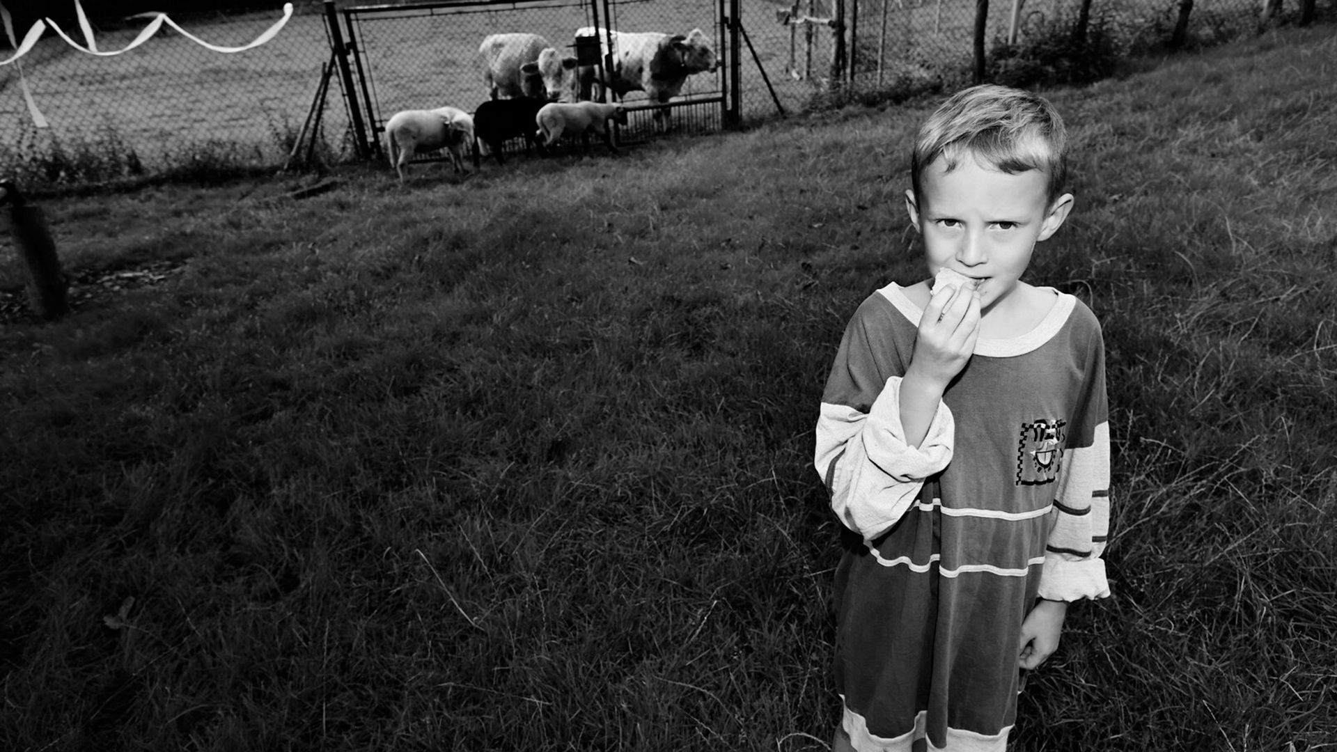 Shorts New Talents Competition: Live-action 4
