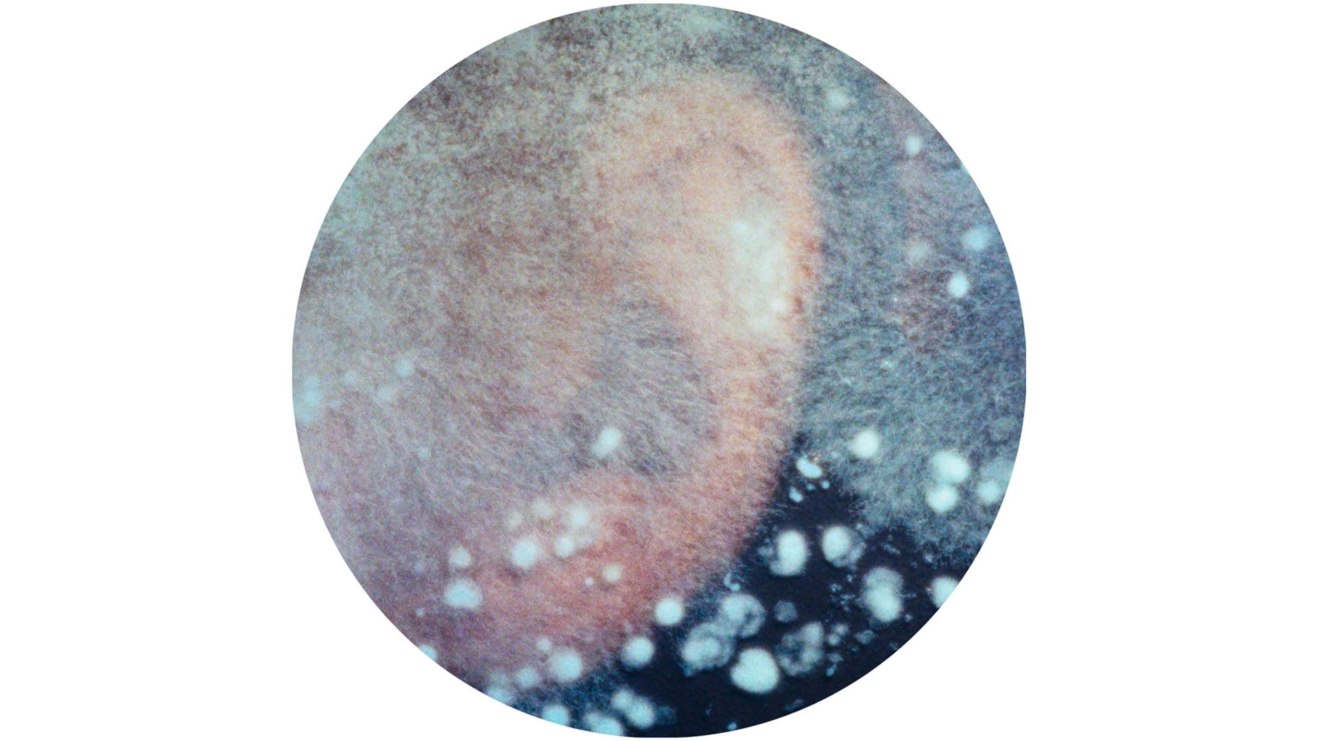 F_3_Holy_Destructors