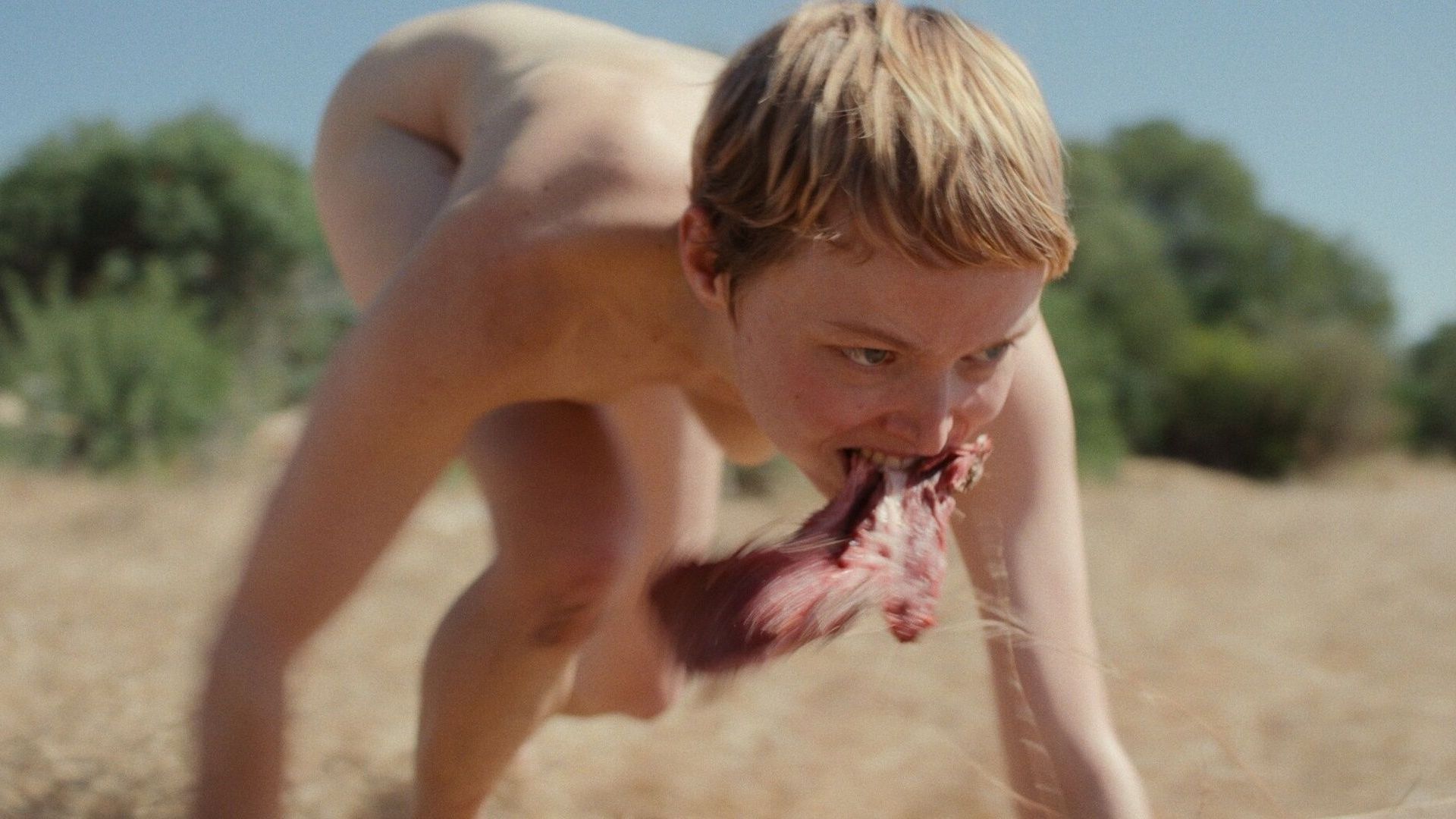 Shorts New Talents Competition: Live-action 3