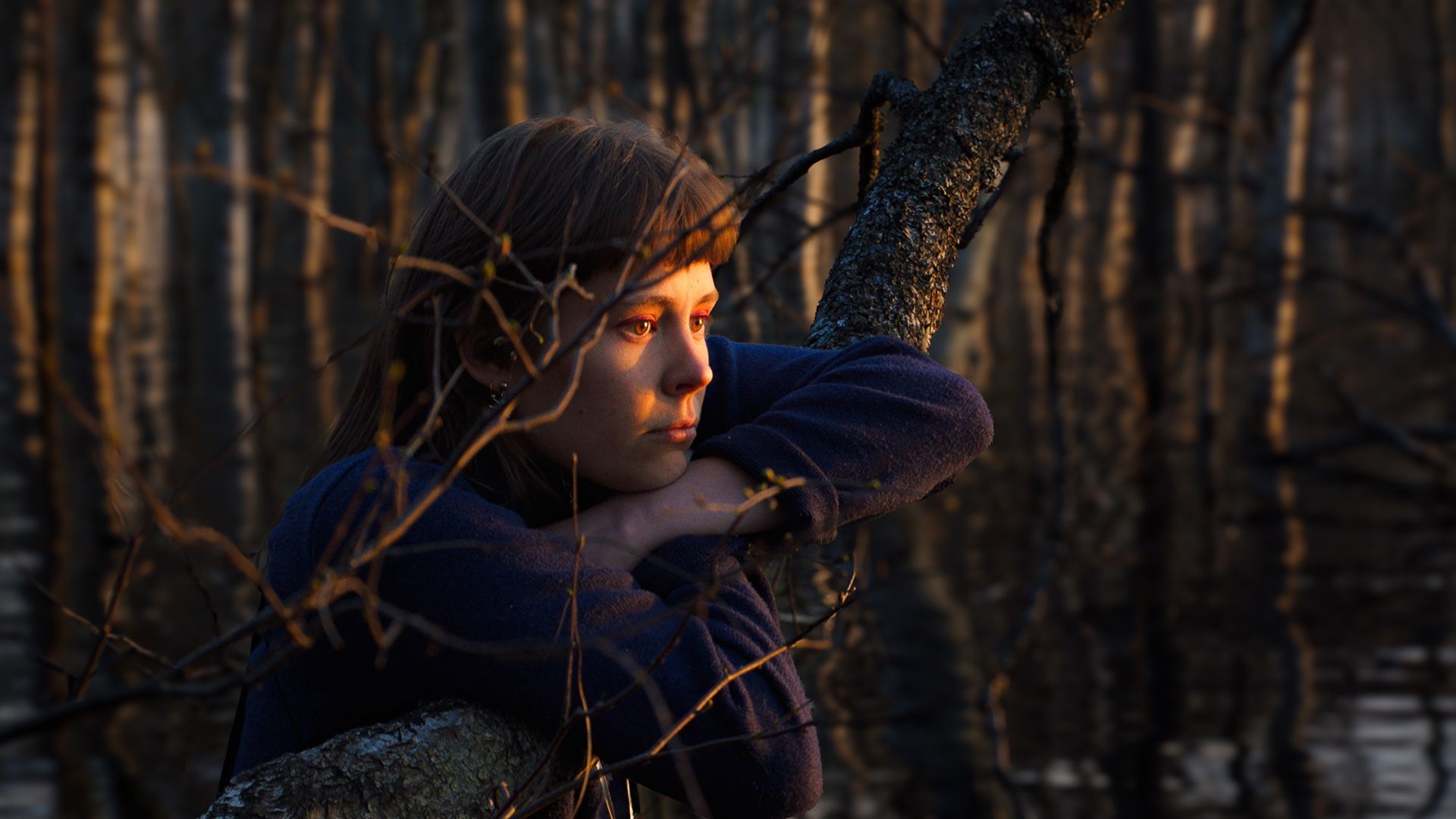 Once Upon a Time in a Forest