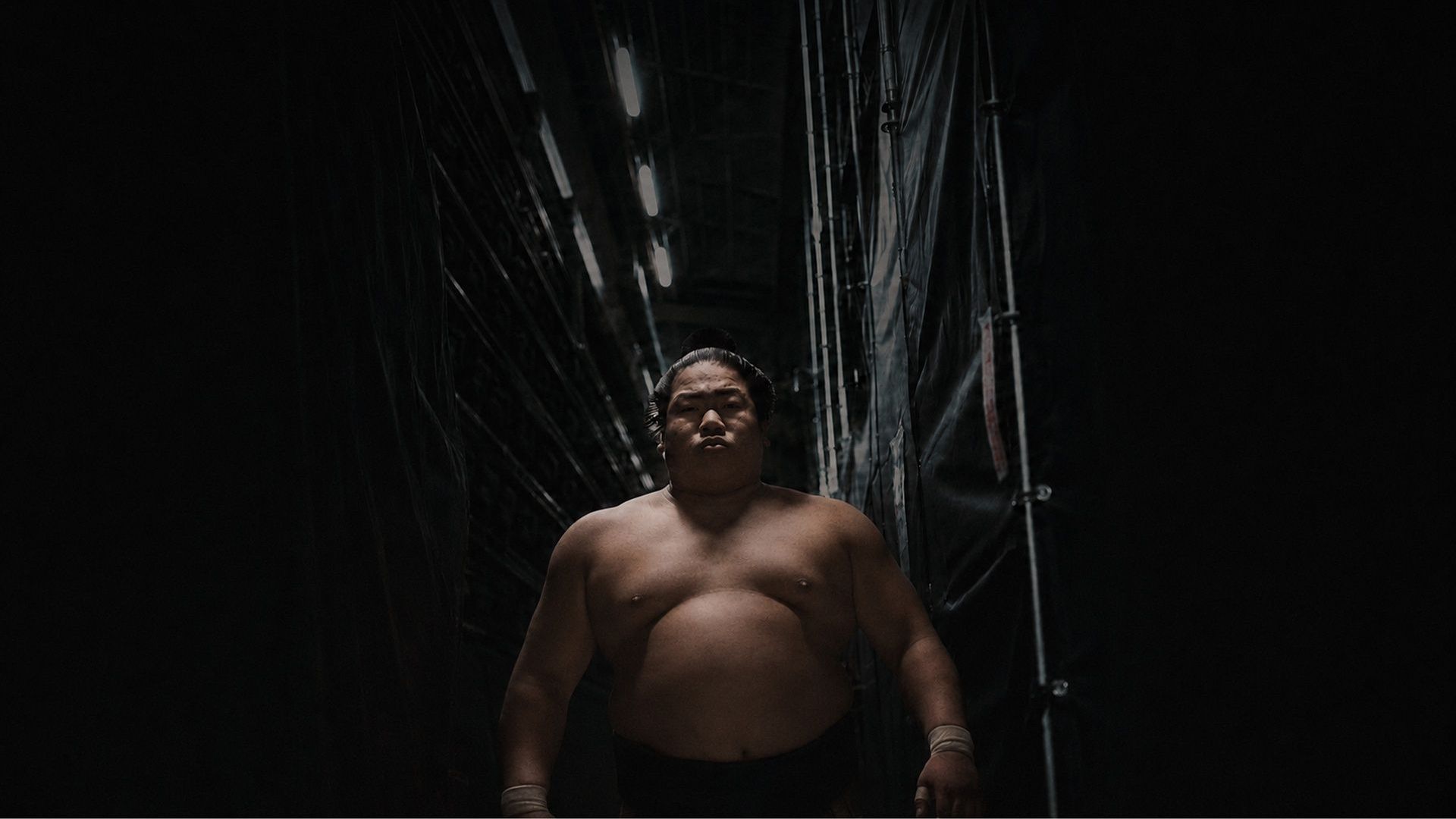 SUMO: Spirit Weighs Nothing