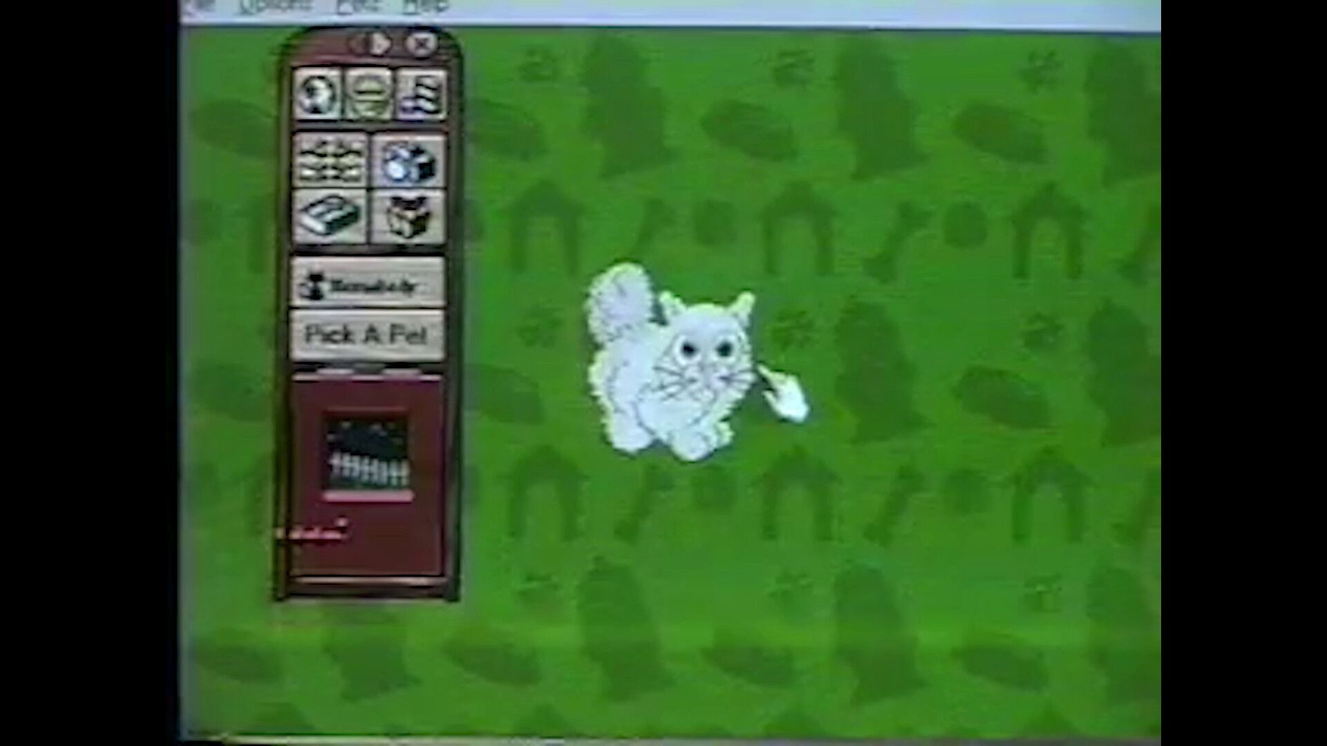 Solaris presents: Dog Cinema