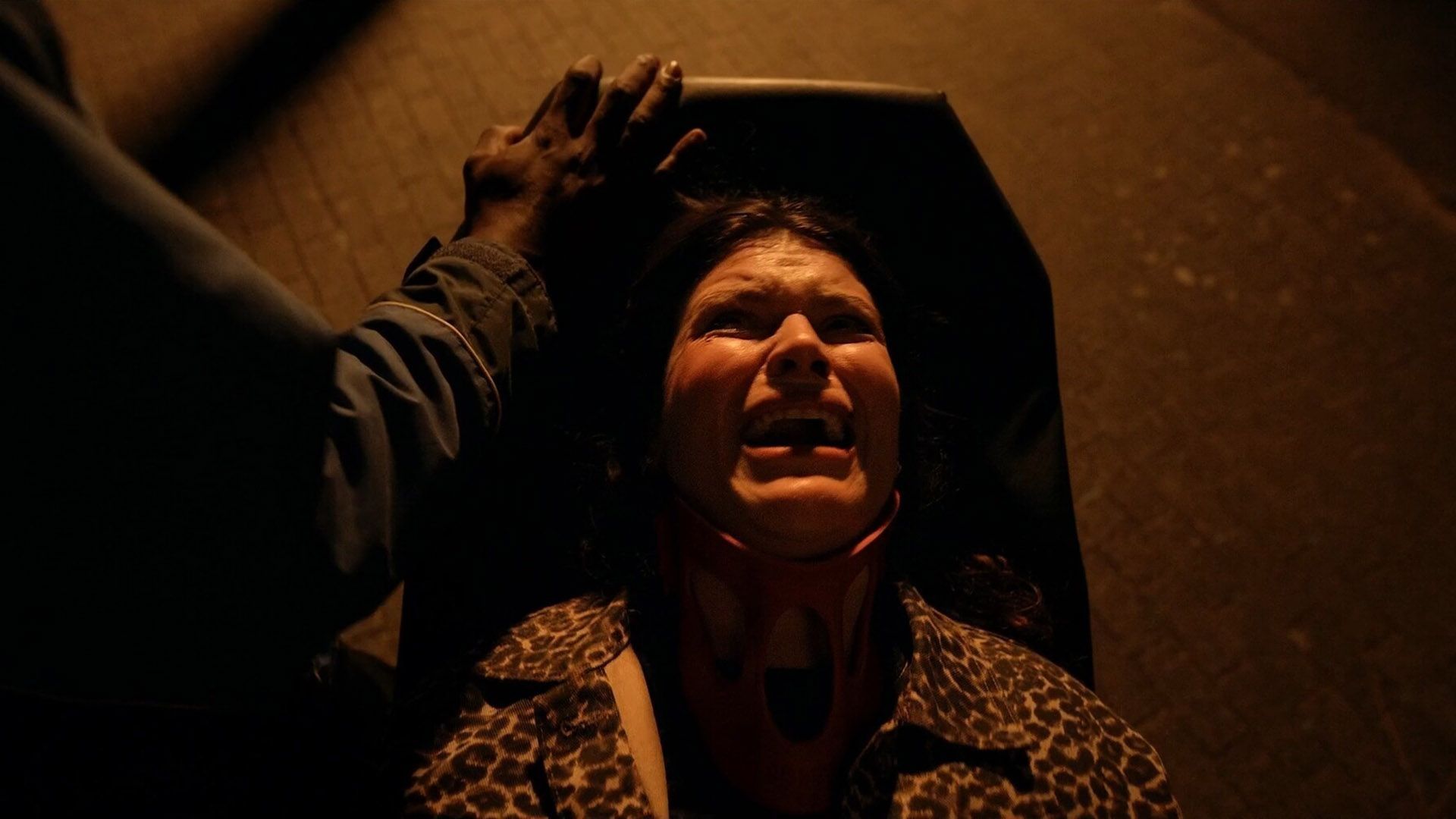 Little Nightmares: Best International Short Films