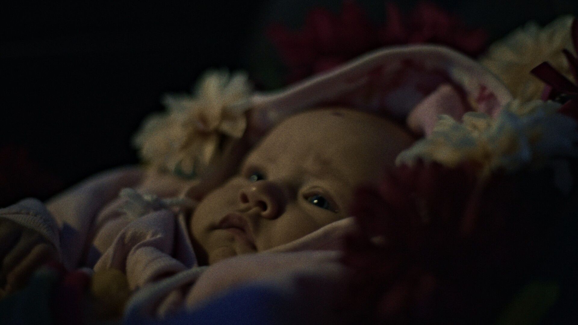 Shorts National Competition 2