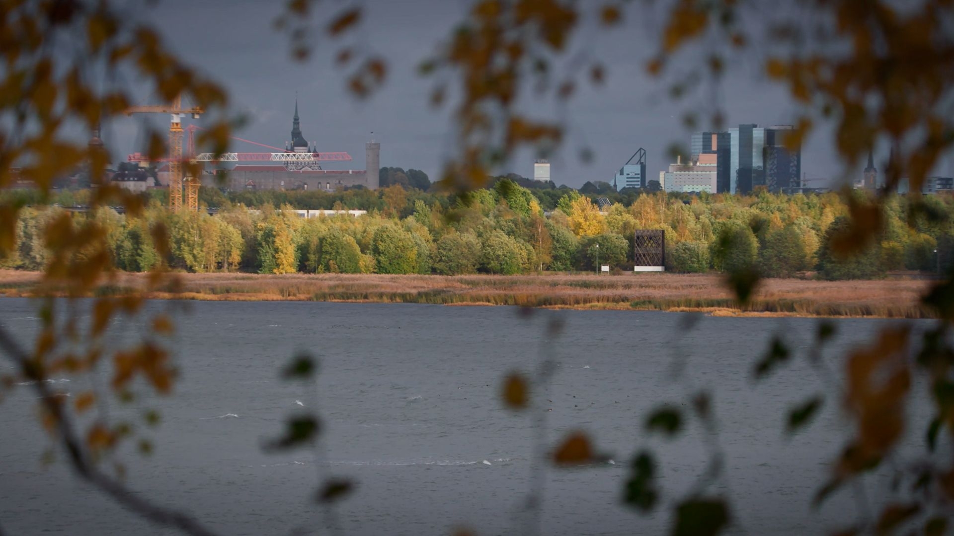Keskkonnaprogrammi avaseanss: 'Ma olen Maa' ja 'Rohelisem Tallinn'