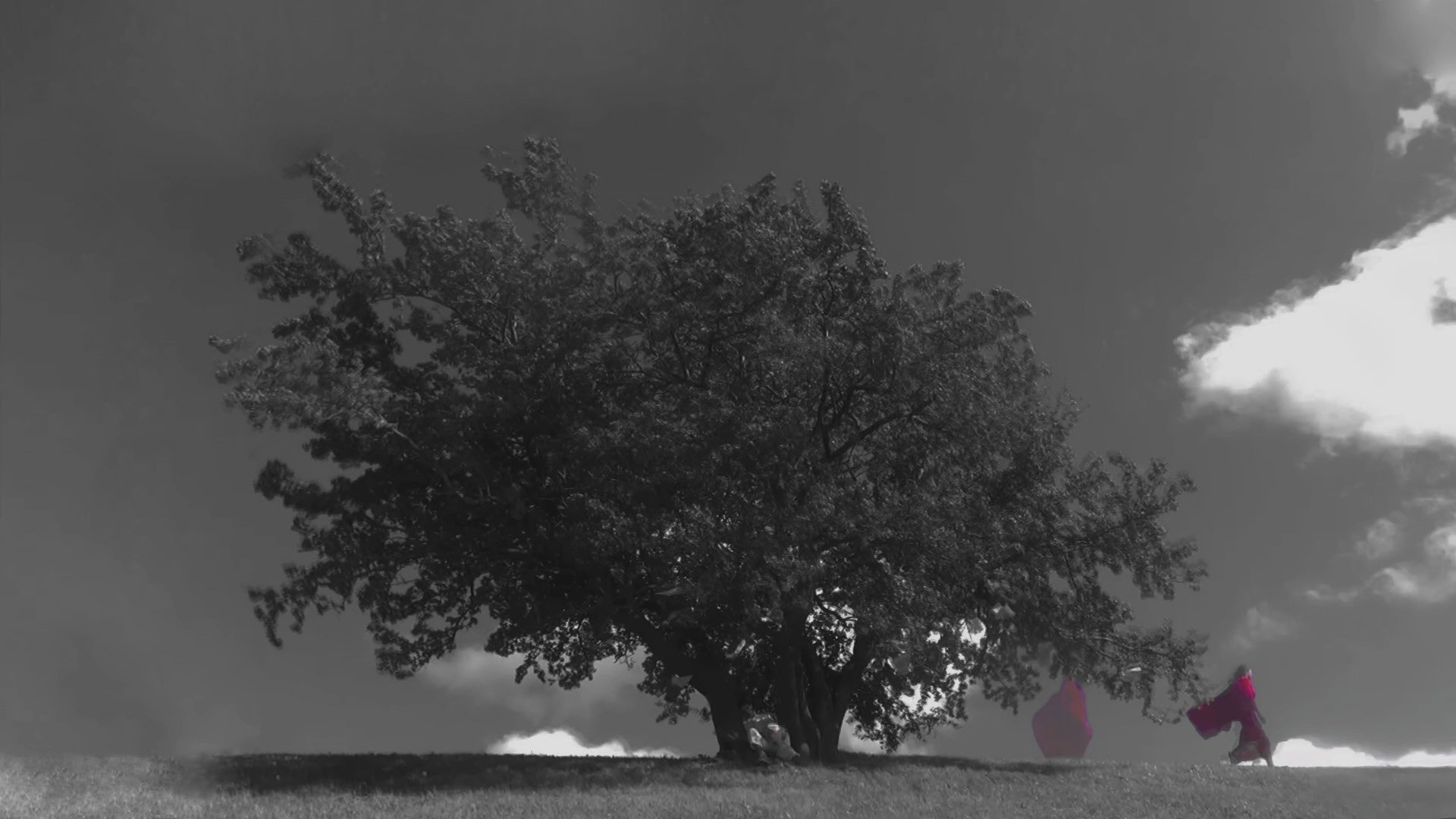 #noorfilmitegija 2 (2021)