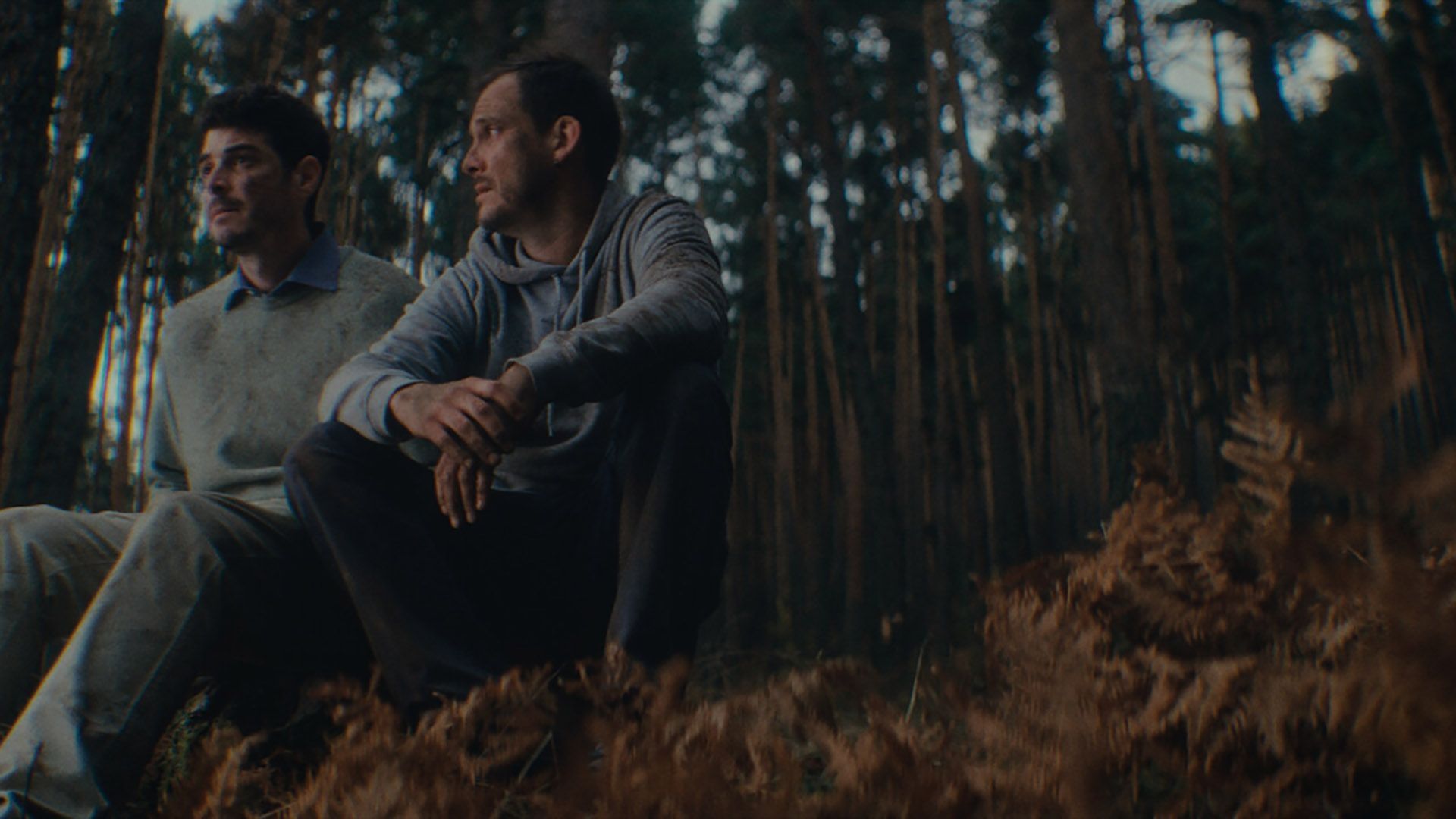 Méliès D'Argent lühifilmide võistlusprogramm