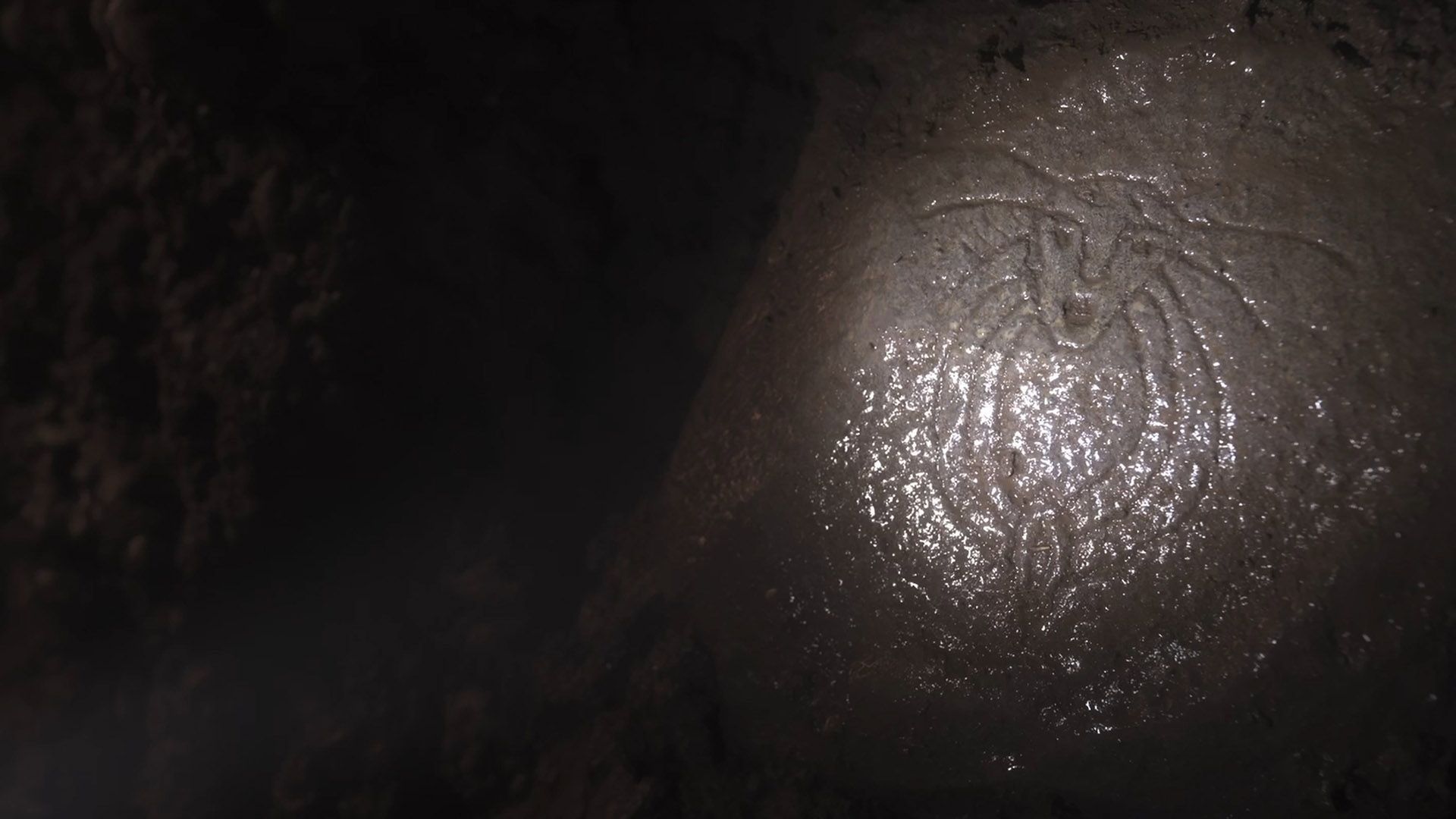 Morrigan - sõjakuninganna ärkamine