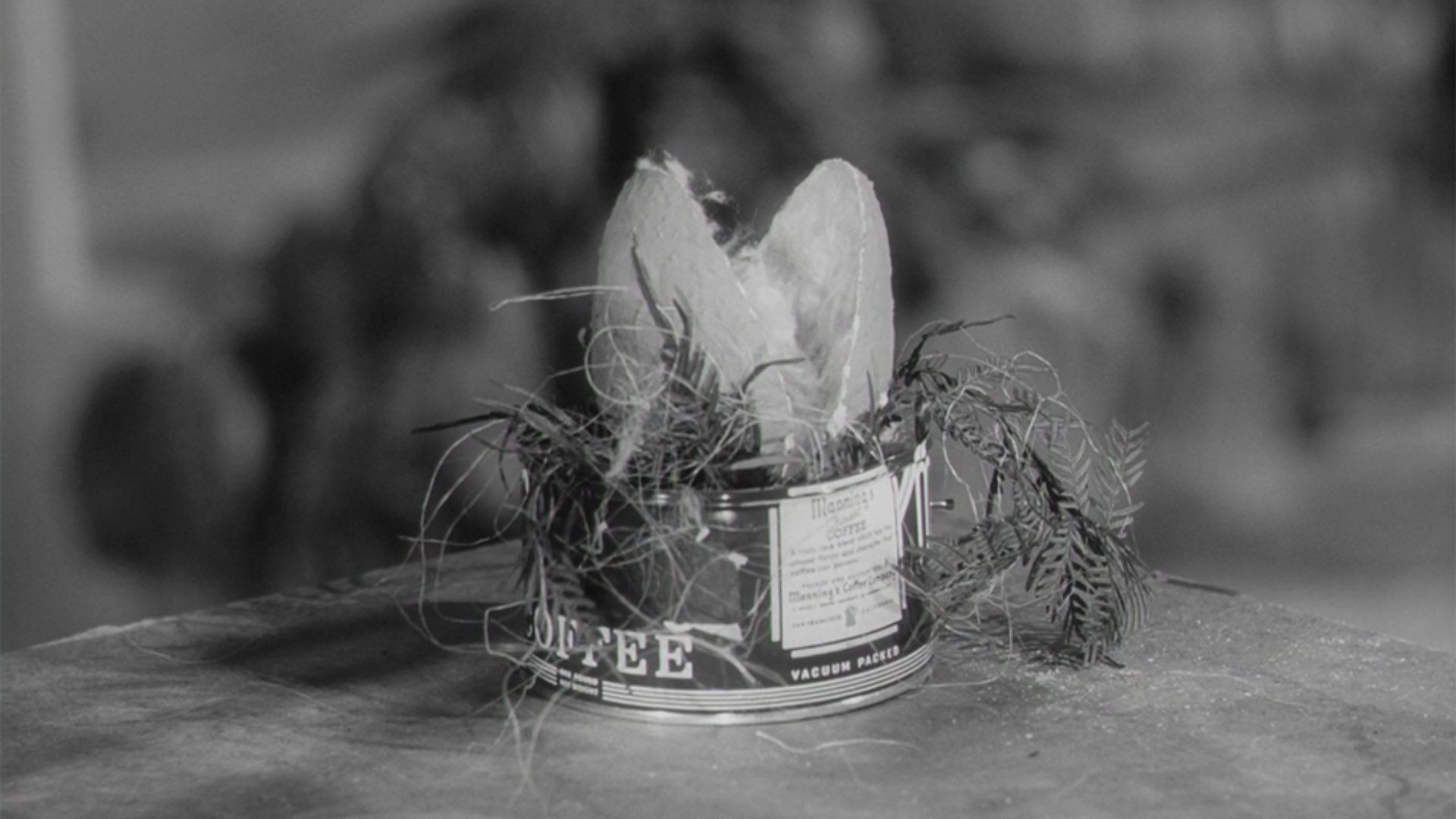 The Little Shop of Horrors