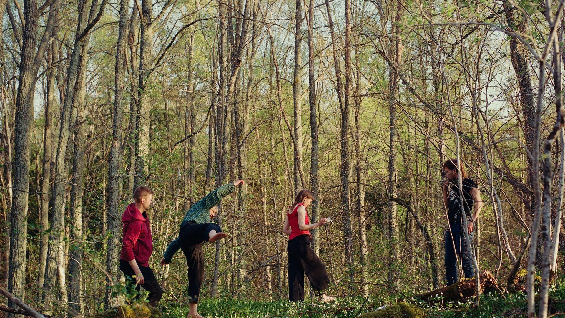 Once Upon a Time in a Forest