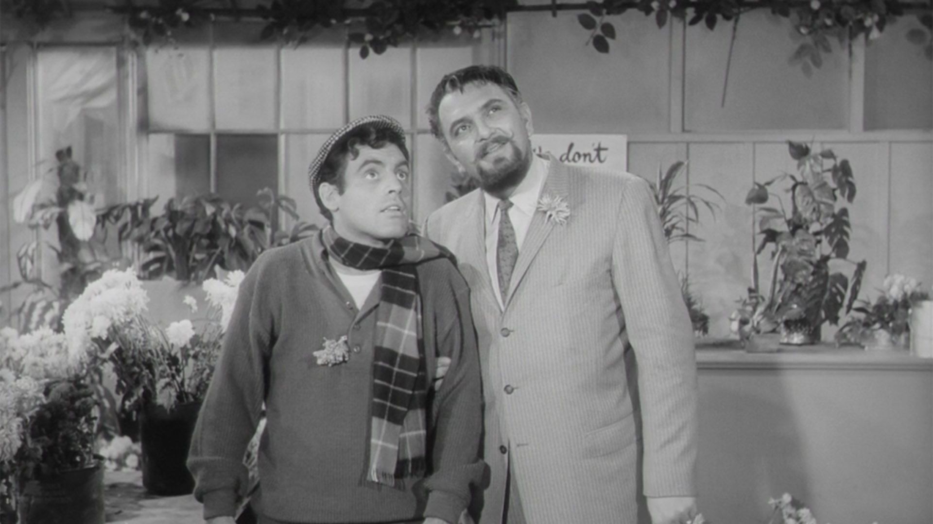 The Little Shop of Horrors