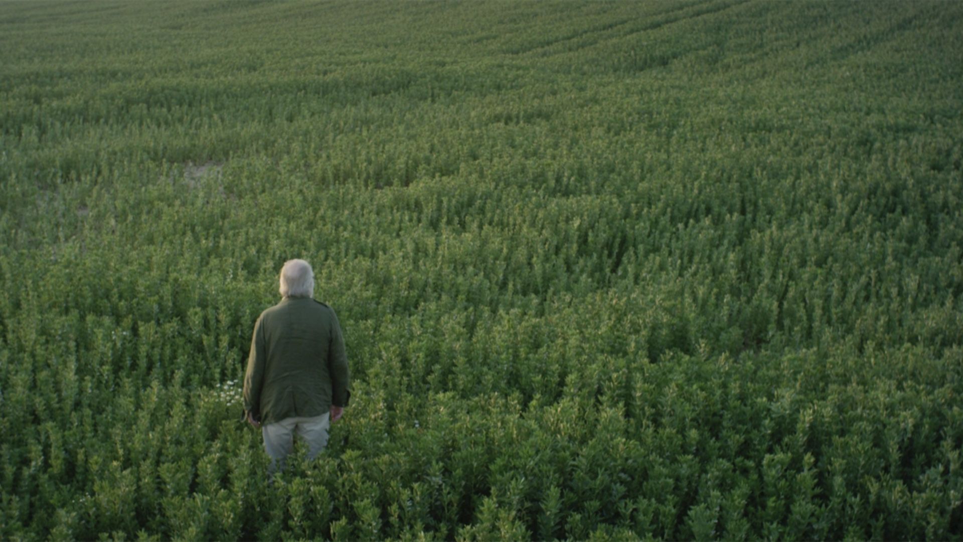 Vana mehe rännakud. Loominguline kohtumine Juozas Budraitisega