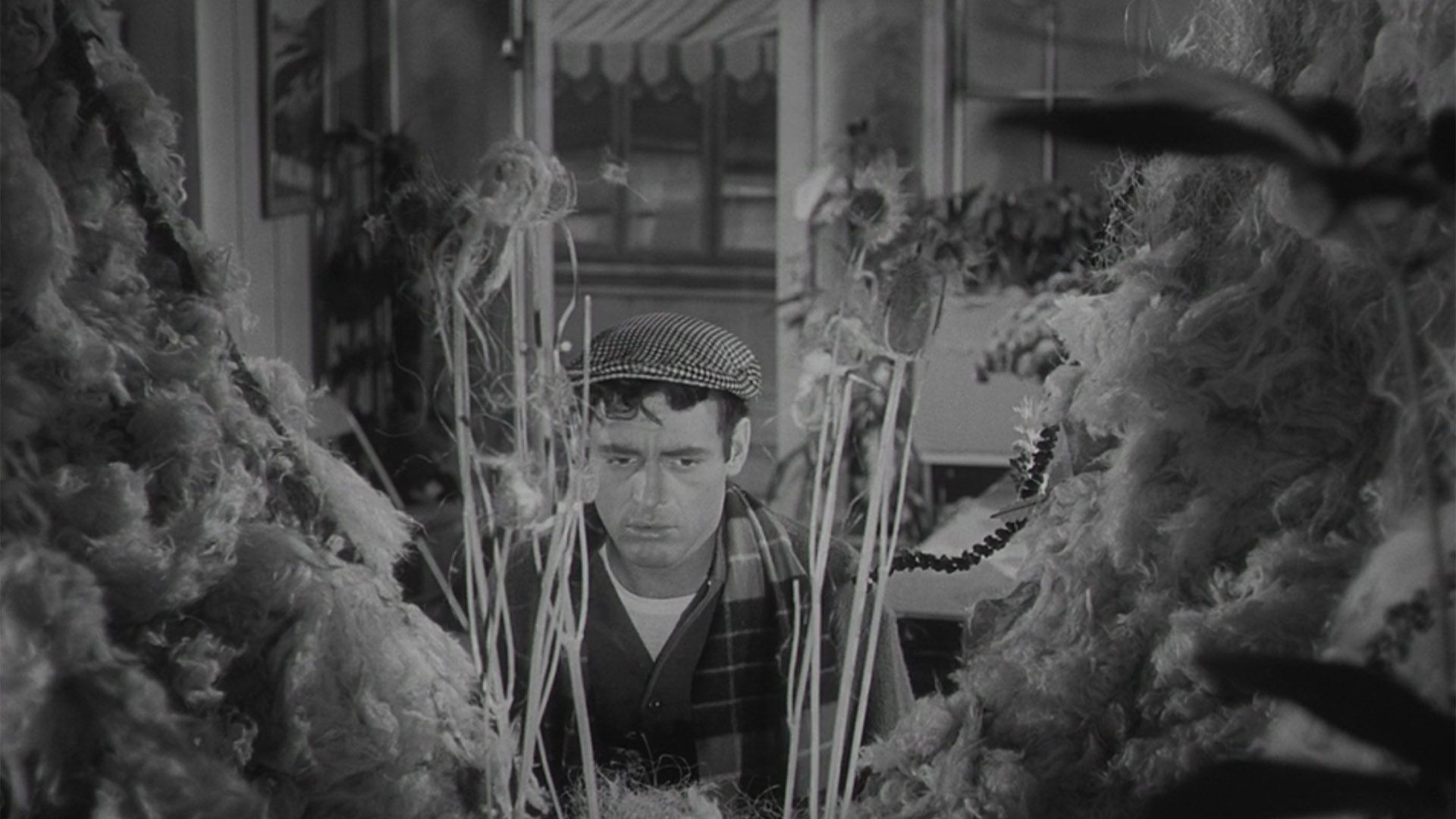 The Little Shop of Horrors