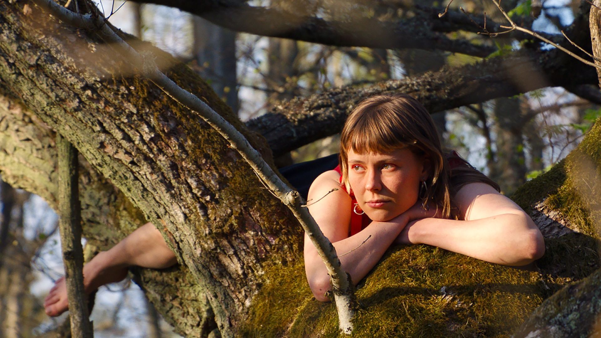 Once Upon a Time in a Forest