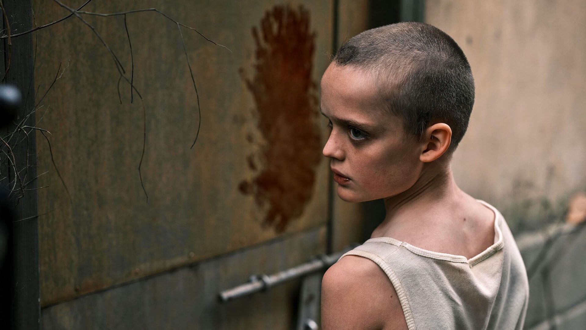 hoff_article_bringherback